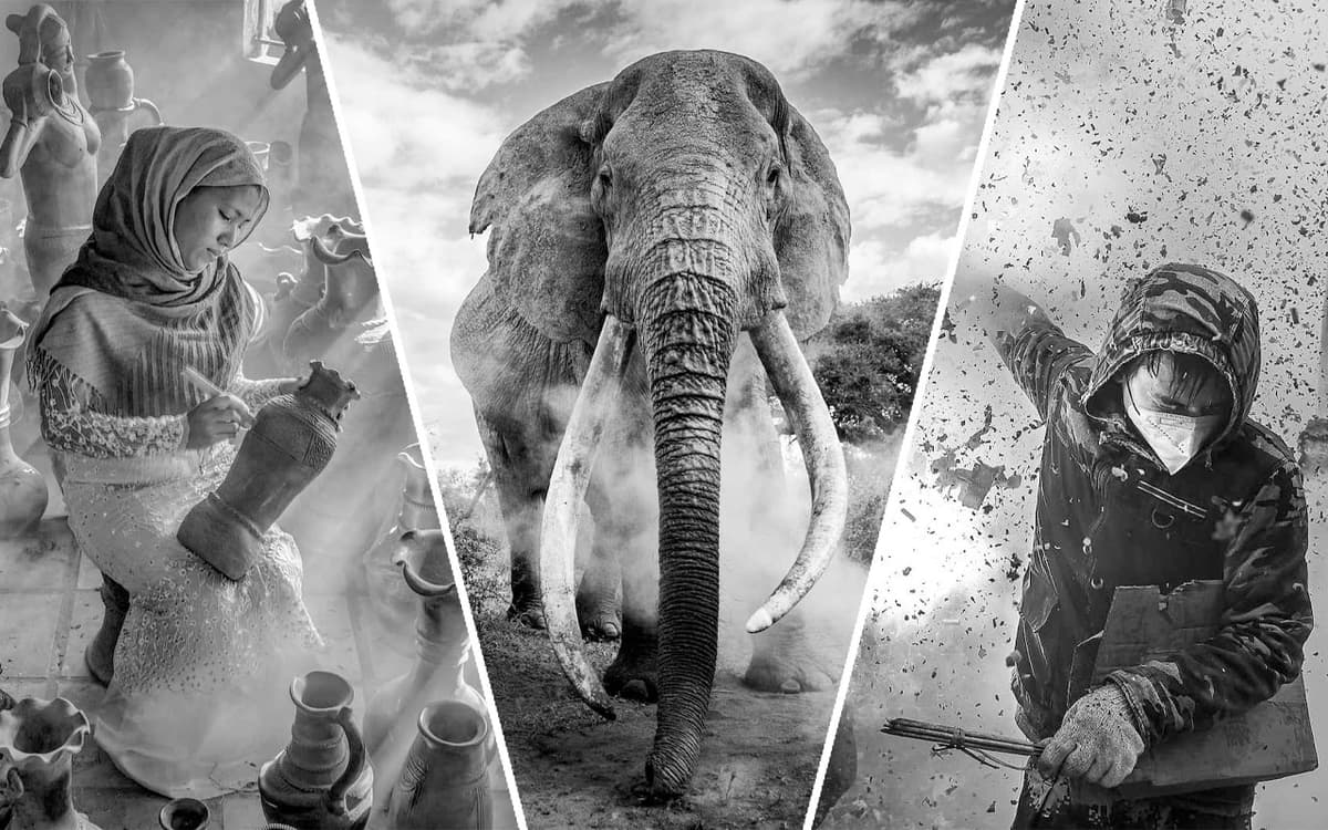 Fotojamlanma: 2024 yilning eng yaxshi oq-qora fotosuratlari e’lon qilindi