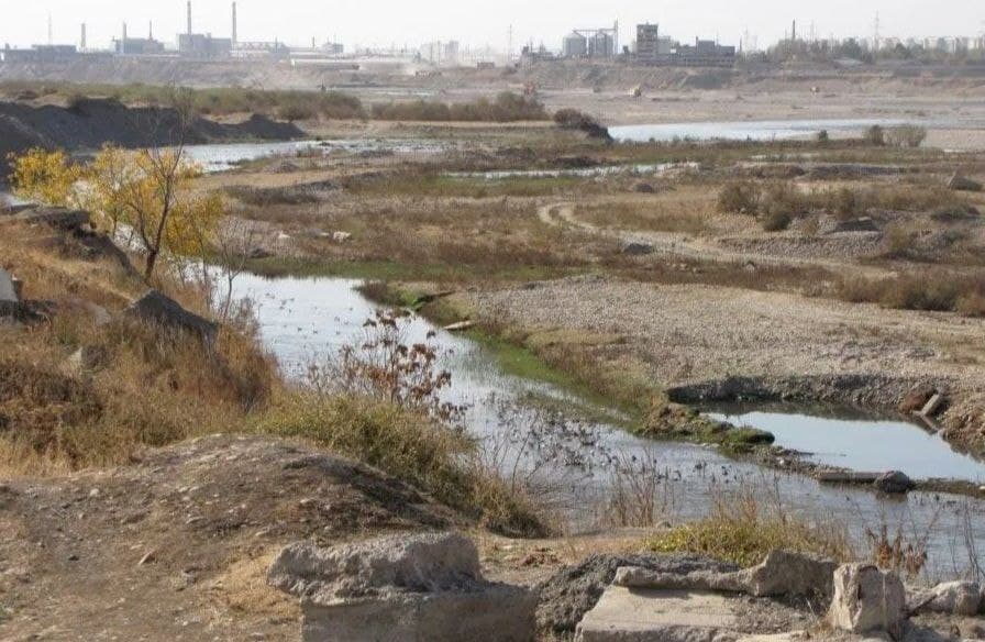Noruda mahsulotlarining noqonuniy qazib olinishi ortidan tabiatga 6,6 mlrd so‘m zarar yetkazildi – Ekovazirlik