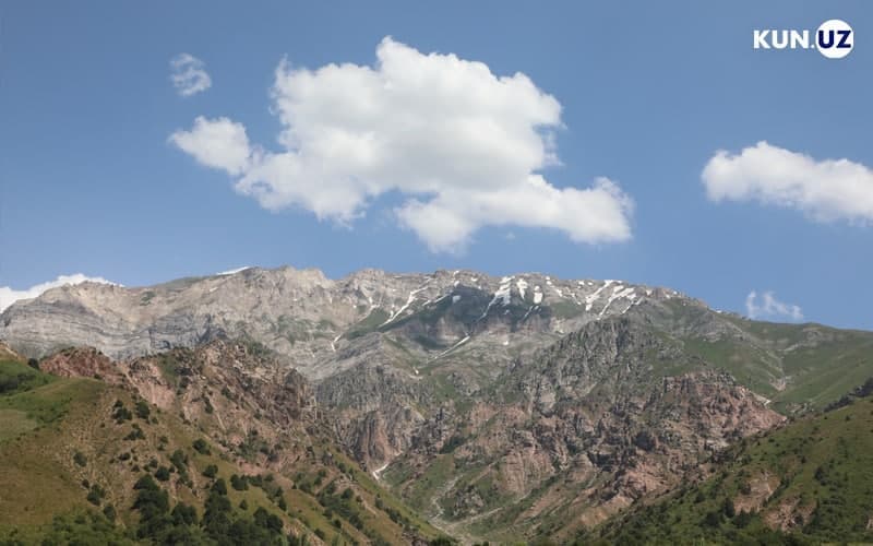 14 avgust kuni uchun ob-havo prognozi e’lon qilindi