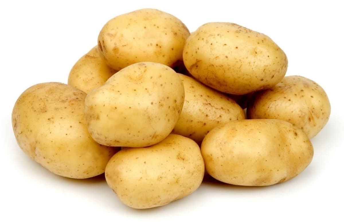 Uzbekistan increases potato cultivation