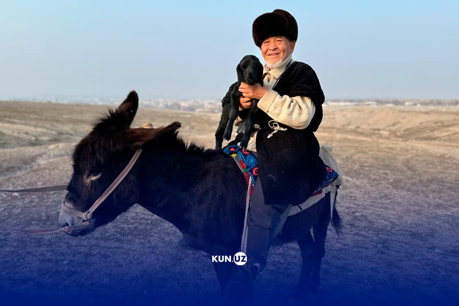 Qir odami: oqbilollik revizor