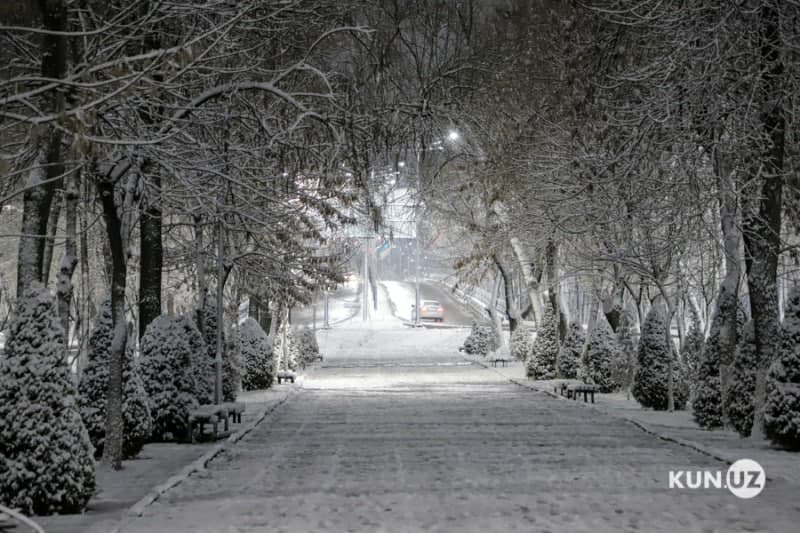 Cold air masses to bring rain and snow to parts of Uzbekistan