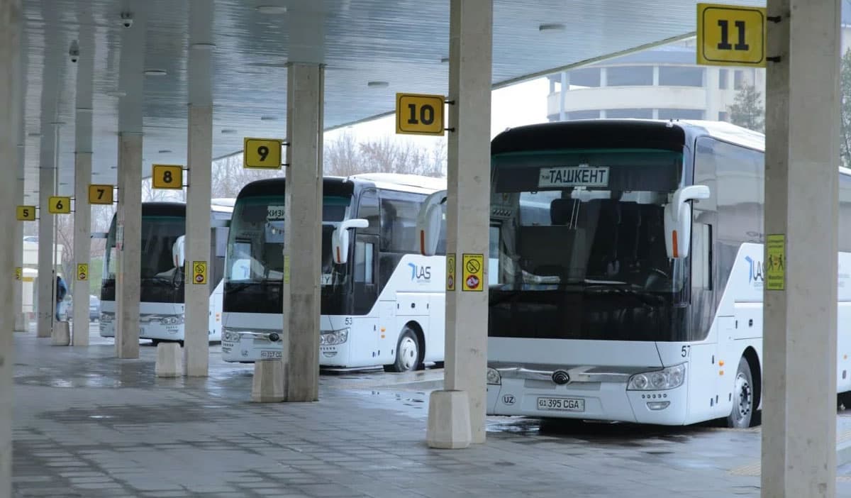 Uzbekistan to launch regular bus service to St Petersburg from Tashkent