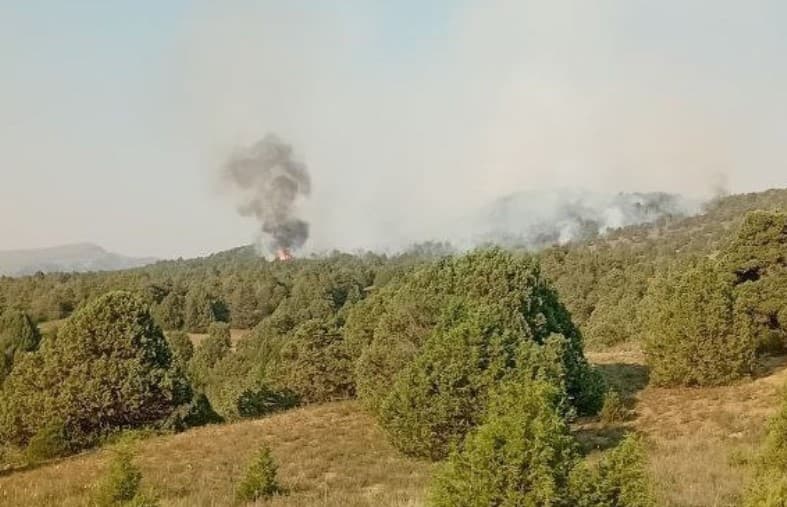 В крупном пожаре в лесном хозяйстве Байсуна сгорело 3 гектара: огонь тушили почти 14 часов
