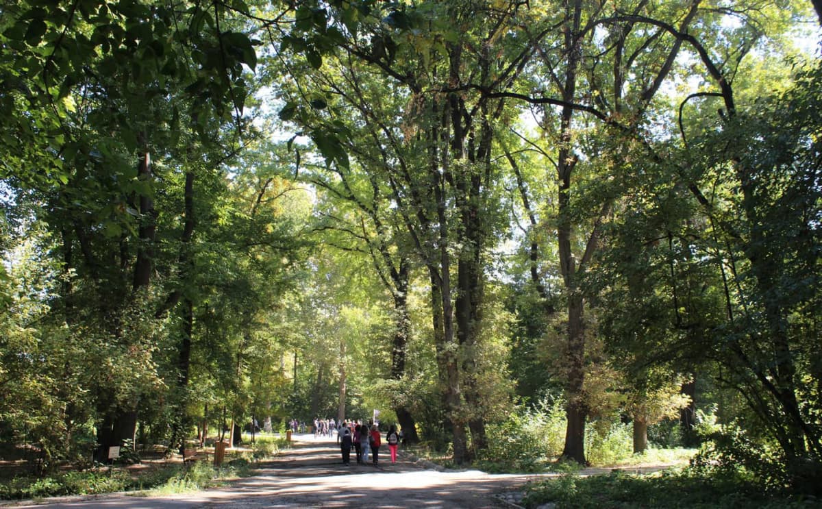 Uzbekistan grants botanical gardens "untouchable" status to prevent privatization
