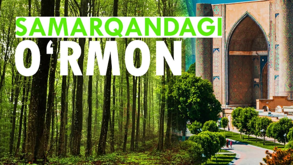 Samarqandda tiklanayotgan o‘rmon - Omonqo‘ton milliy tabiat bog‘i | Manzil