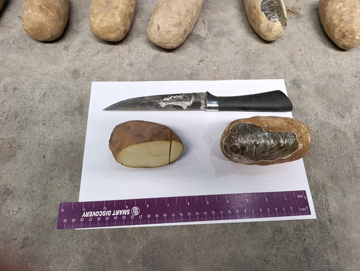 Customs officers seize hashish disguised as potatoes at Afghan border