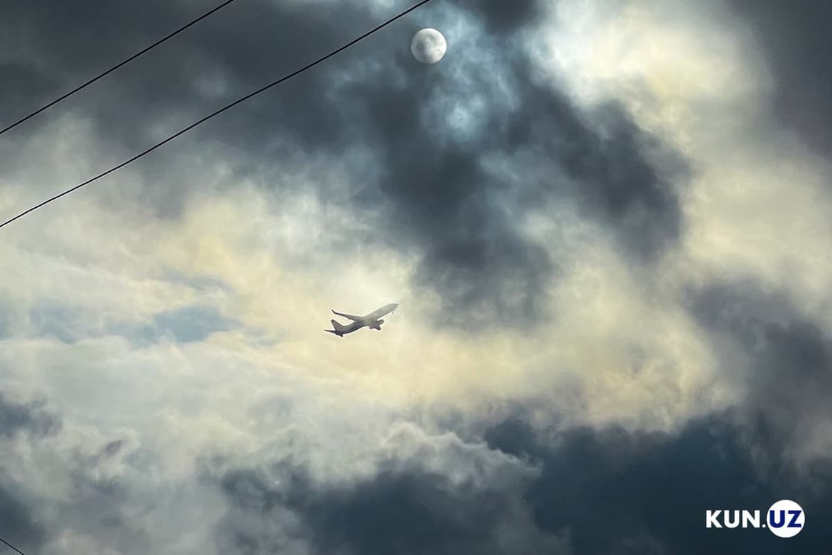 Domestic airfare prices in Uzbekistan soar 74% in three months