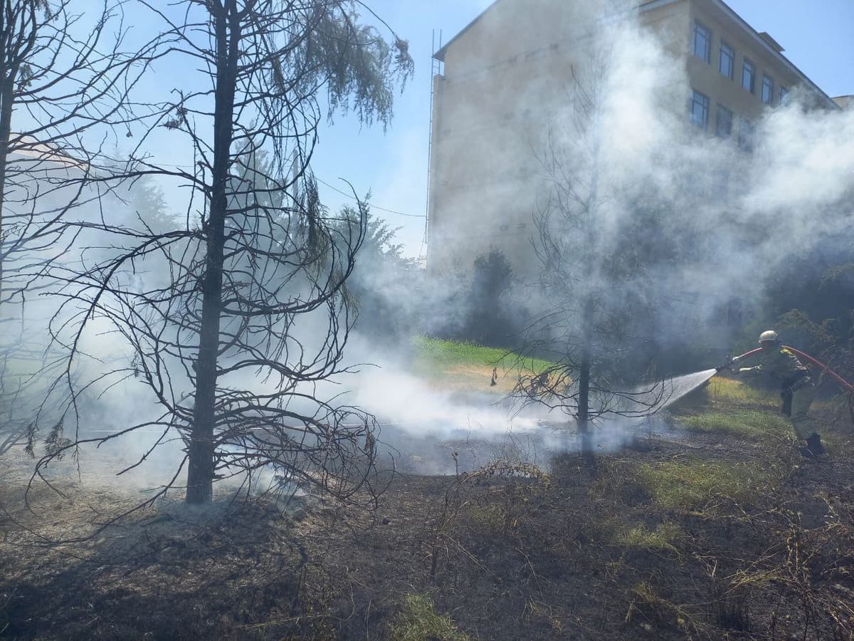 Yakkasaroy tumanidagi yong‘inda yettita archa daraxti yonib ketdi