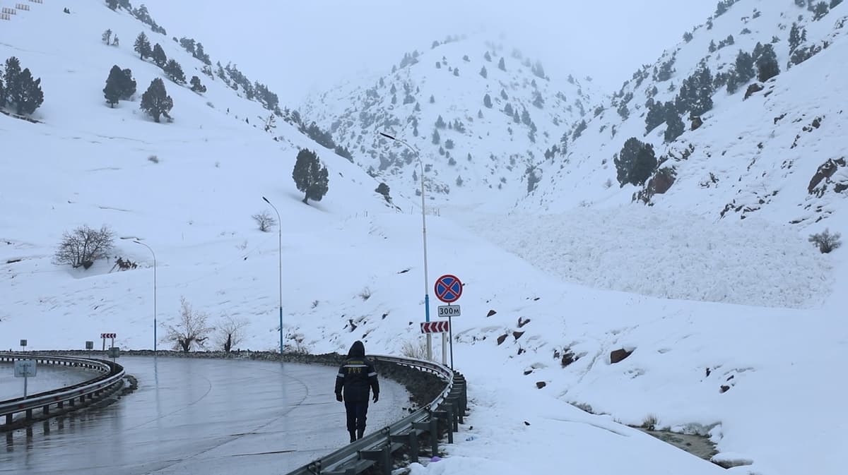 Dovon yo‘li va qor ko‘chkisi: vaziyat qay darajada xavotirli?