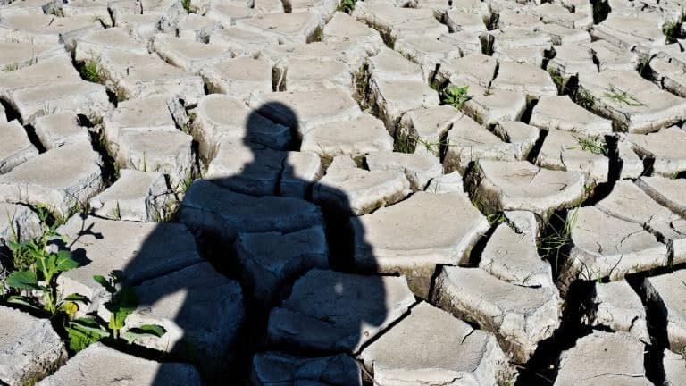 Uzcosmos and UNESCAP launch project to monitor drought in Central Asia