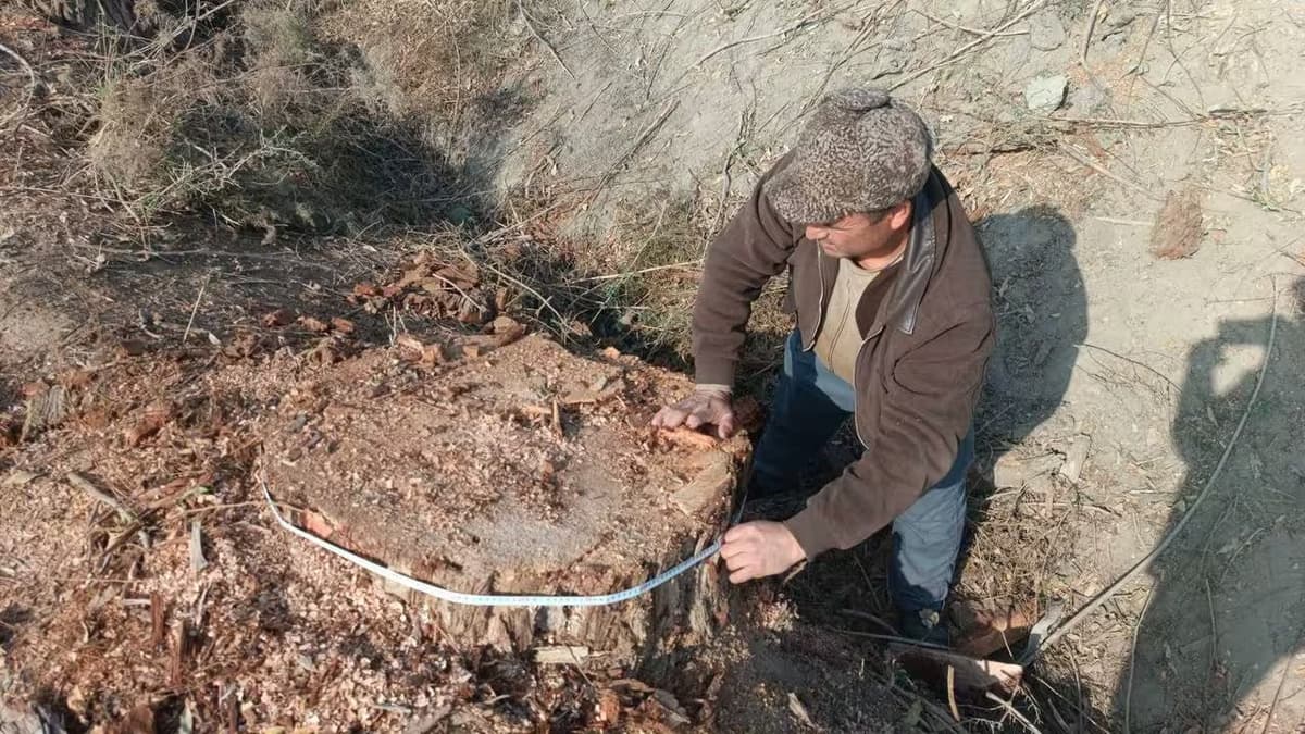 Ecology Committee launches reward scheme for reporting environmental violations