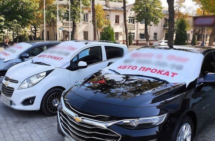 Министру транспорта и главе МВД направлен депутатский запрос по ситуации с незаконной арендой автомобилей