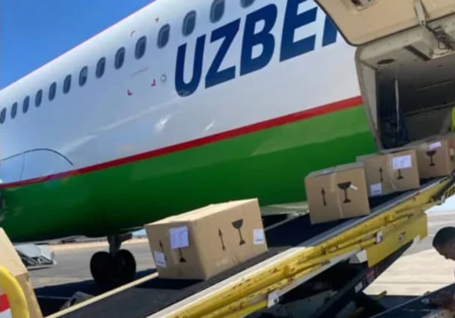 Egypt supports Uzbekistan’s hepatitis C eradication program with medicine shipment