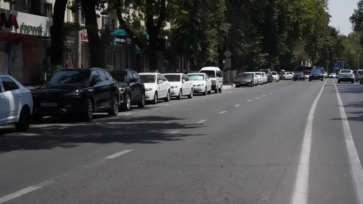 Шаҳар бедарвоза эмас: Тошкент пиёдалар ва ҳайдовчилар учун қулай бўлиб бормоқда