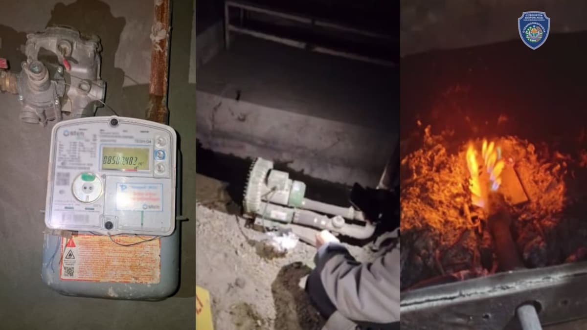 Illegal energy use costs Uzbekistan over UZS 1.2 trillion in a year