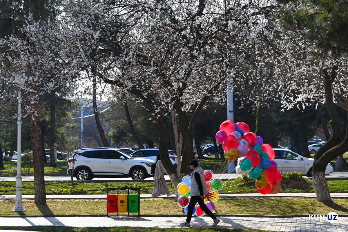 Дождь, снег и потепление до +23: прогноз погоды в Узбекистане на вторую половину недели