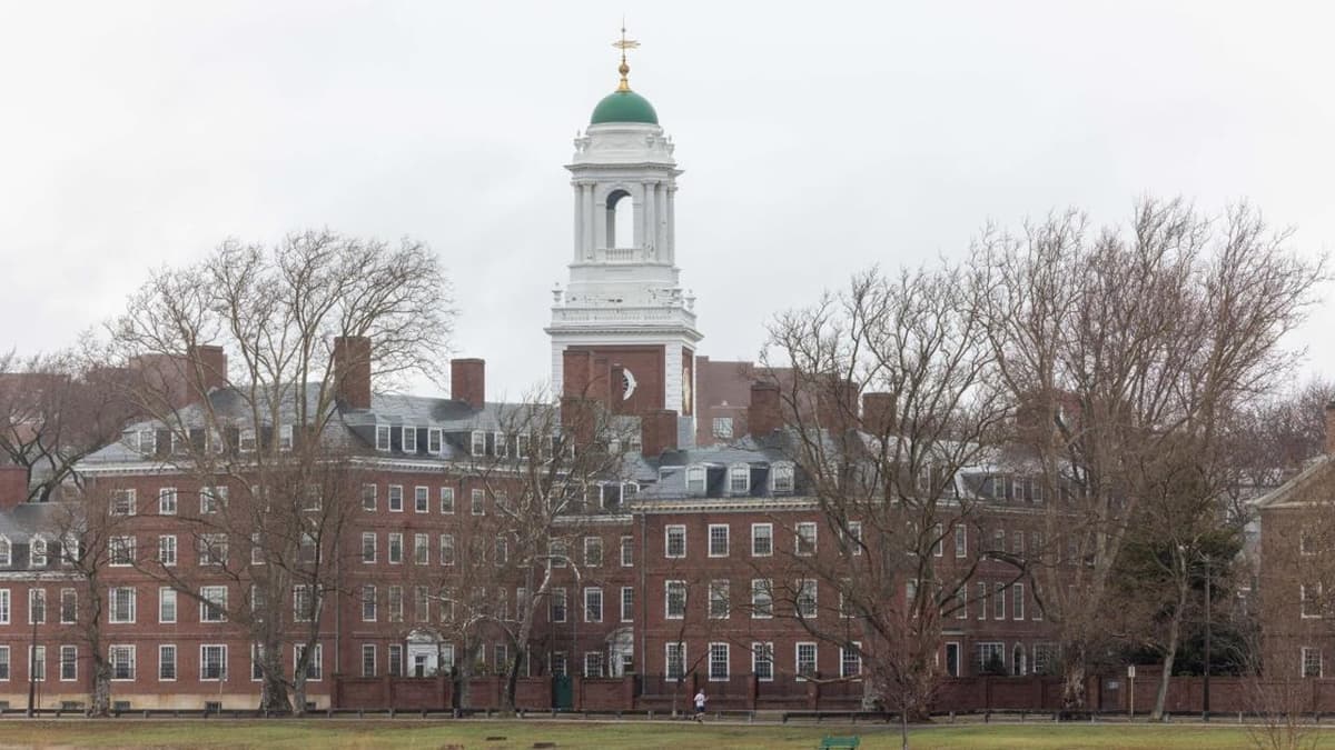 Harvard professorlari Tramp ma’muriyatini sudga berdi - gap 9 mlrd dollar haqida
