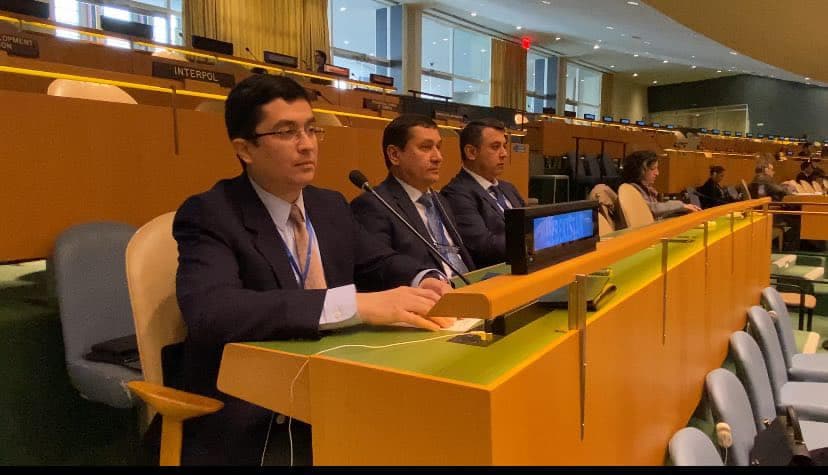 UN adopts Uzbekistan-led resolution on global forest restoration