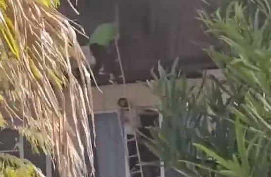 Ўзбекистонлик қаҳрамон: Сочидаги ёнғинда ҳайдовчи йигит она-боланинг ҳаётини қутқариб қолди