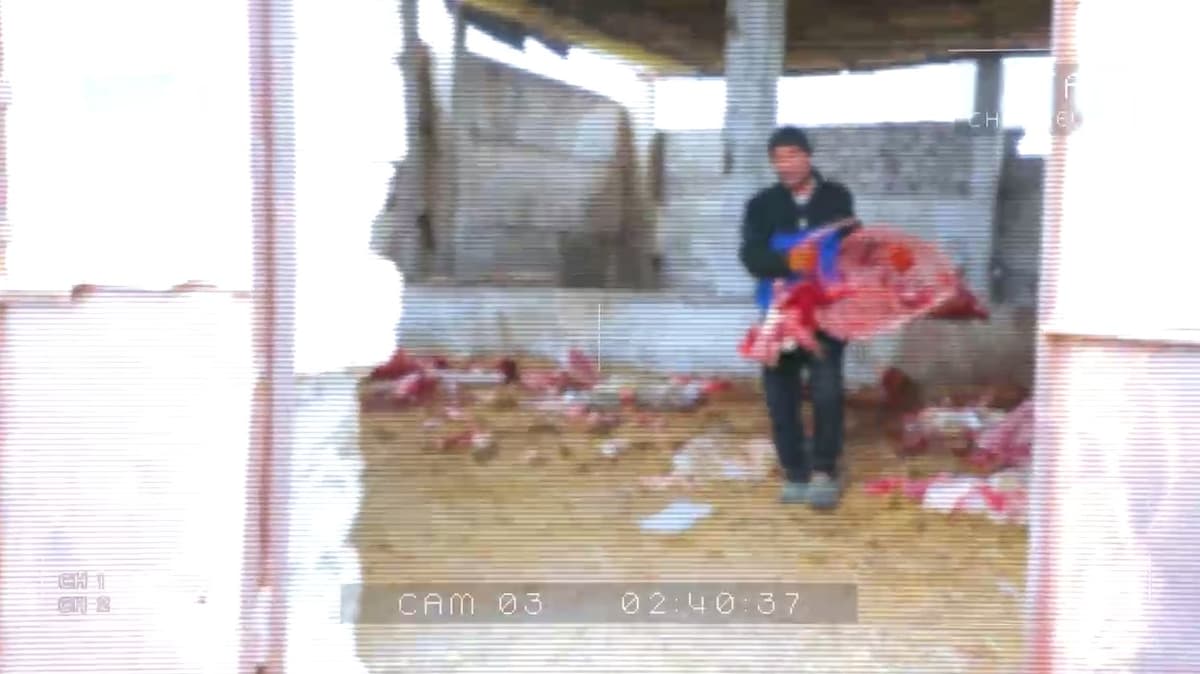 «Продавал по 20 тысяч за кило» — признание парня, торговавшего ослиным мясом