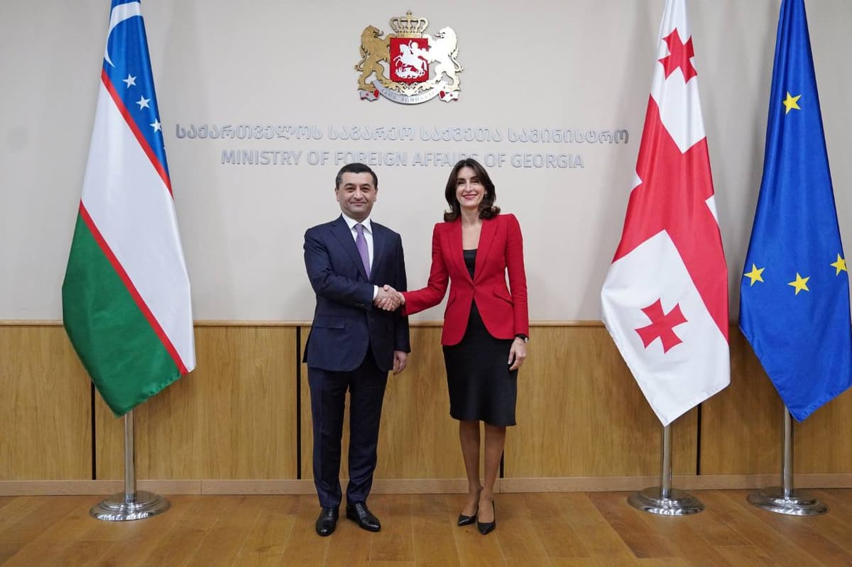 O‘zbekiston va Gurjiston TIV hamkorlik dasturini imzoladi