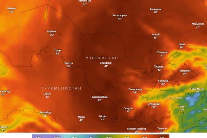Температура в Узбекистане поднимется до 43 градусов