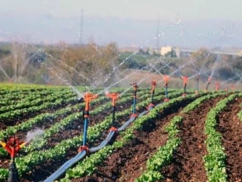 Sug‘orish uchun elektr xarajatining yarmi qoplab beriladi