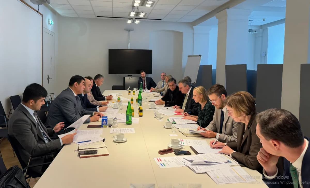 Uzbekistan and Austria discuss further steps on migration and mobility cooperation
