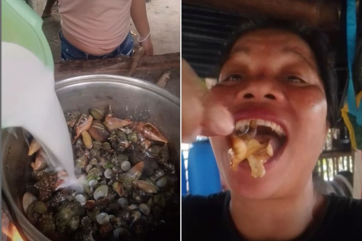 Fud-bloger zaharli krabni yeb vafot etdi