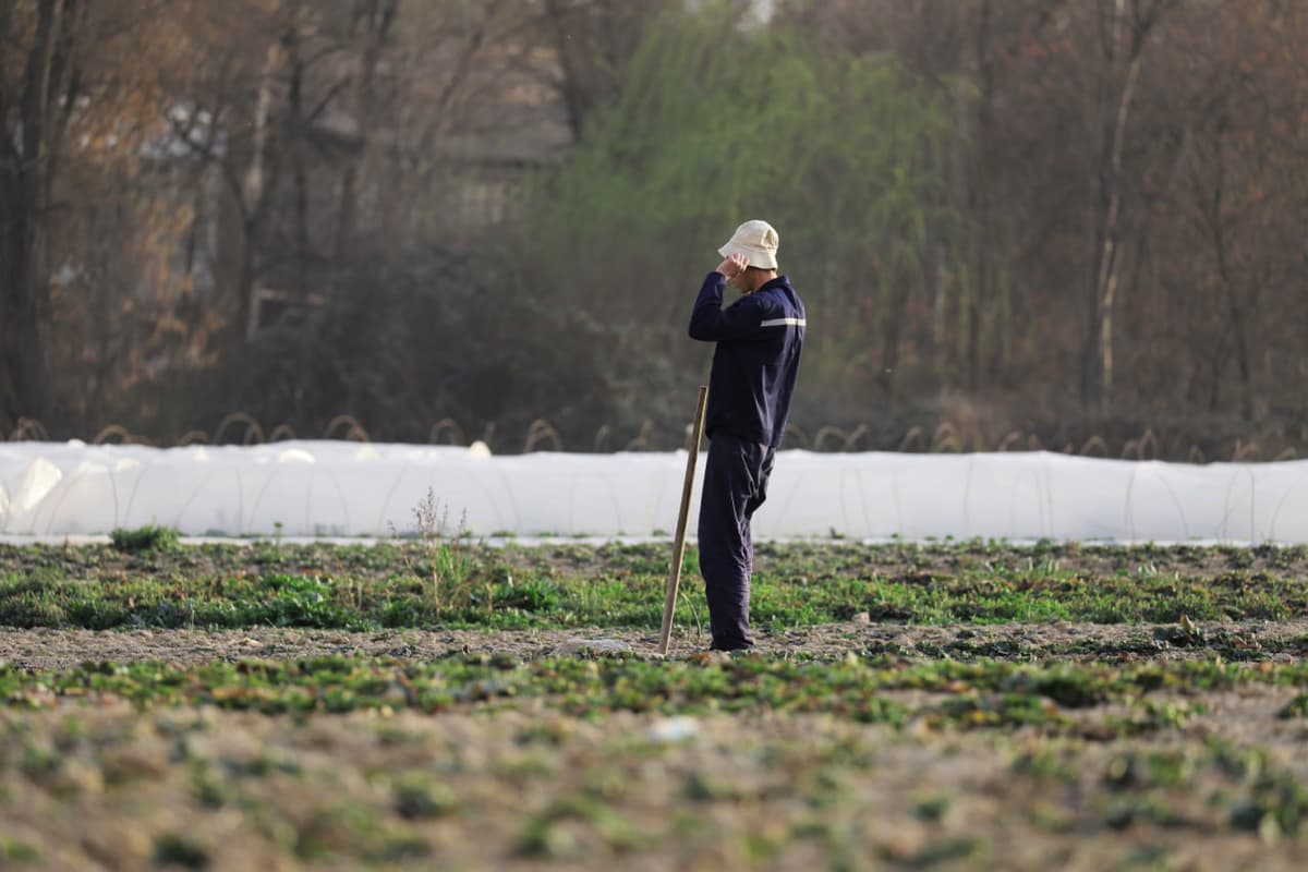 Experts warn land sales to foreign-linked entities may put Uzbekistan’s future at risk