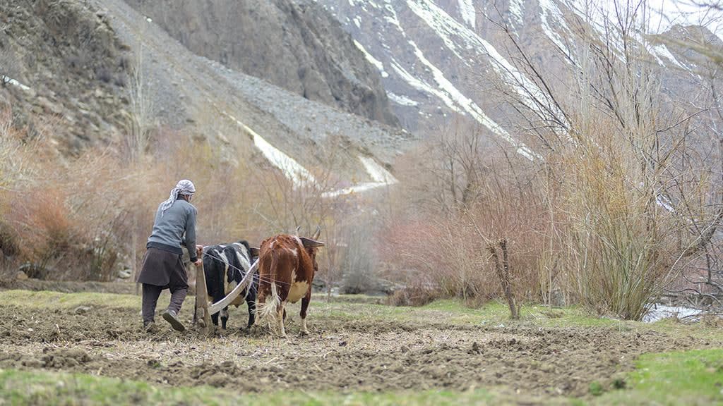Markaziy Osiyoda muzliklar erishiga moslashish uchun BMT fondi 250 mln dollar ajratadi