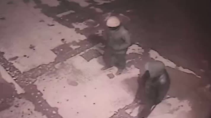 Sirdaryoda bir necha o‘g‘rilik sodir etgan jinoiy guruh qo‘lga olindi