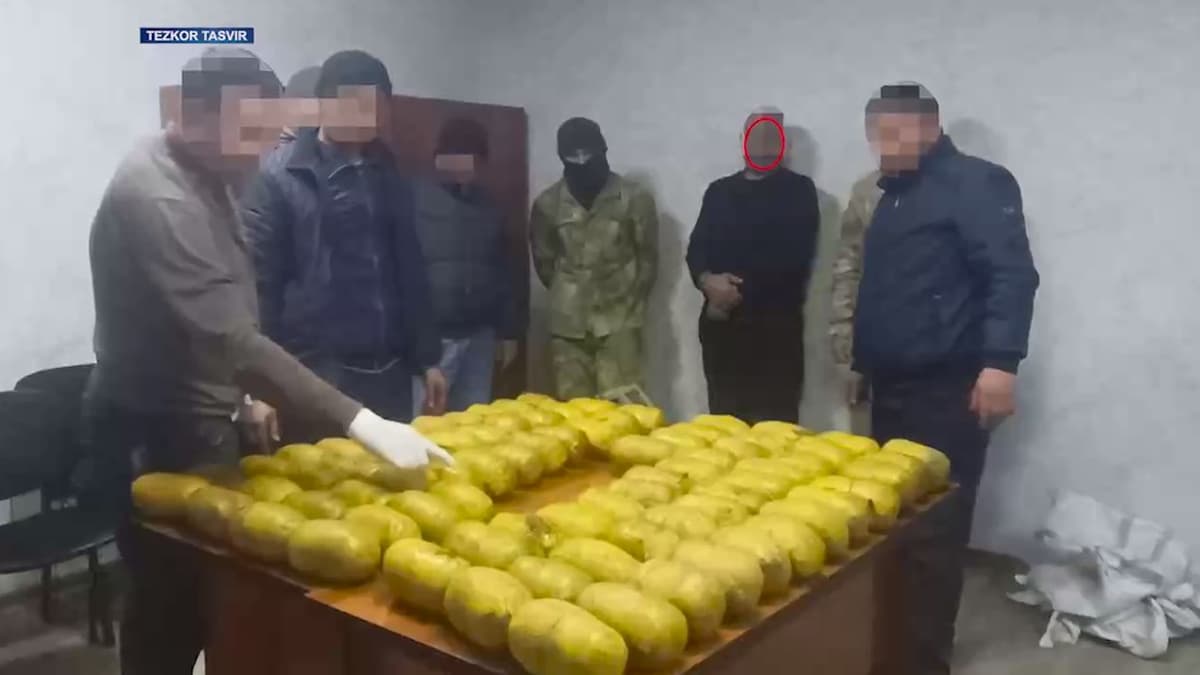 Law enforcement busts drug networks, seizes 100 kg of narcotics