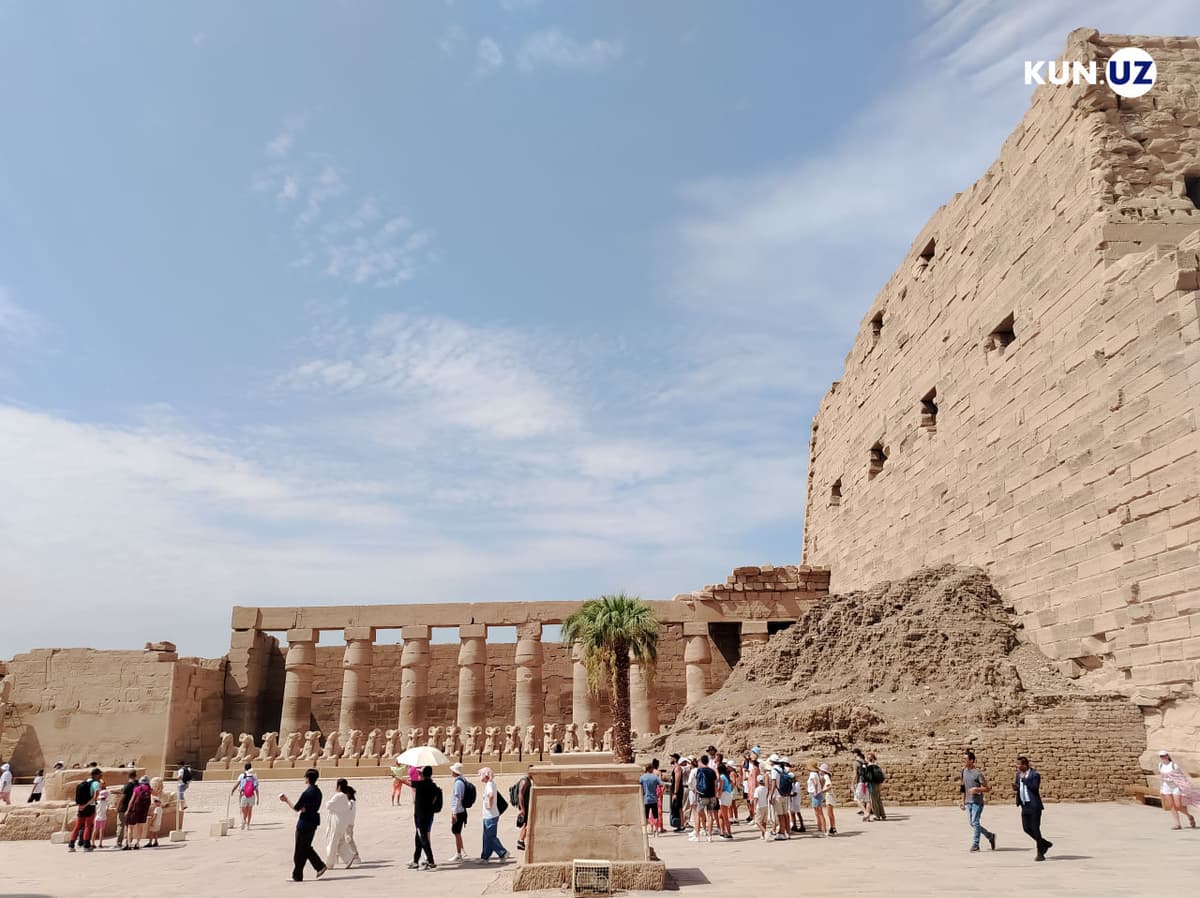 Five Uzbek nationals detained in Egypt for violating residency rules