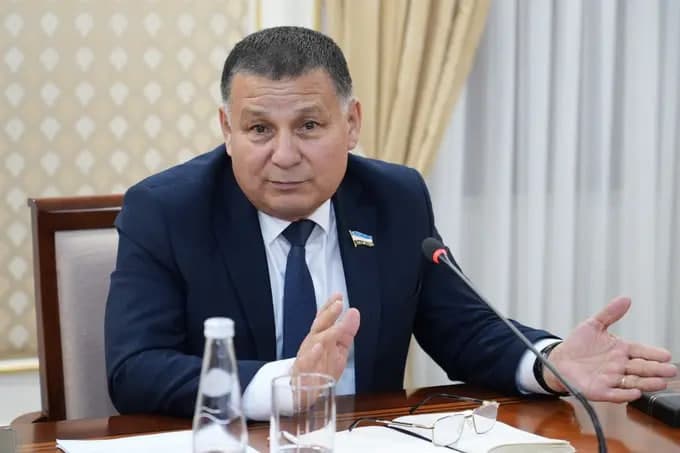 Senator sends inquiry to Preschool and School Education Ministry on child abuse cases in kindergartens