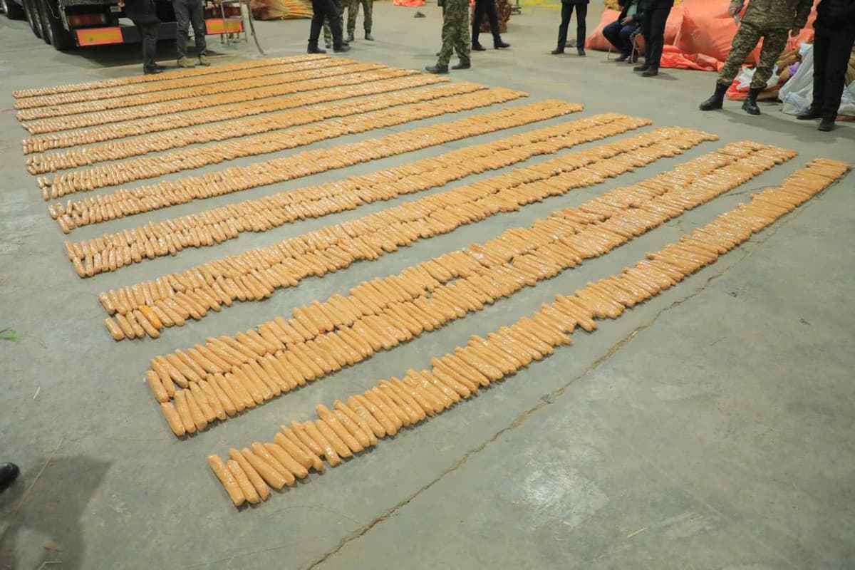 612 kg of narcotics hidden in brooms seized in Surkhandarya