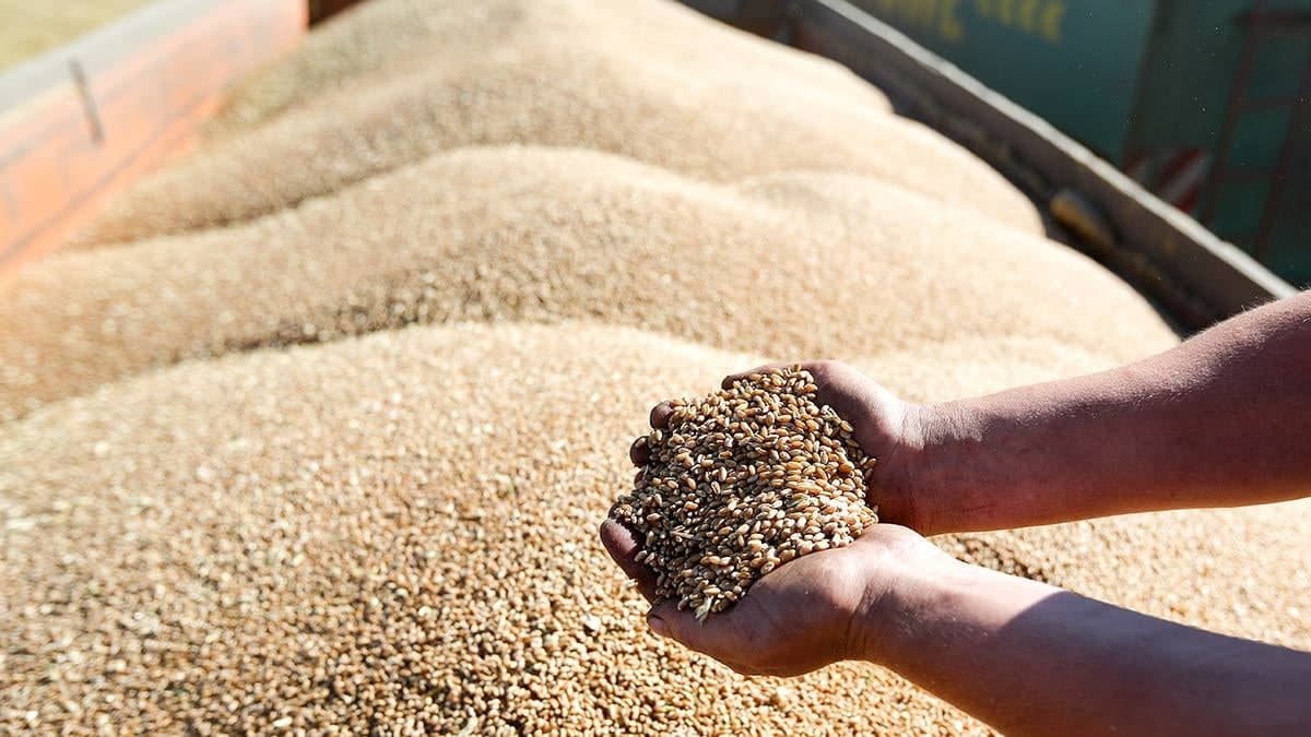 Kazakhstan sharply increases grain exports to Uzbekistan 