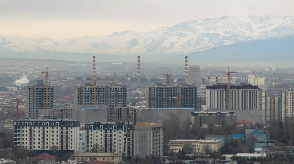 China overtakes Russia in number of operating enterprises in Uzbekistan
