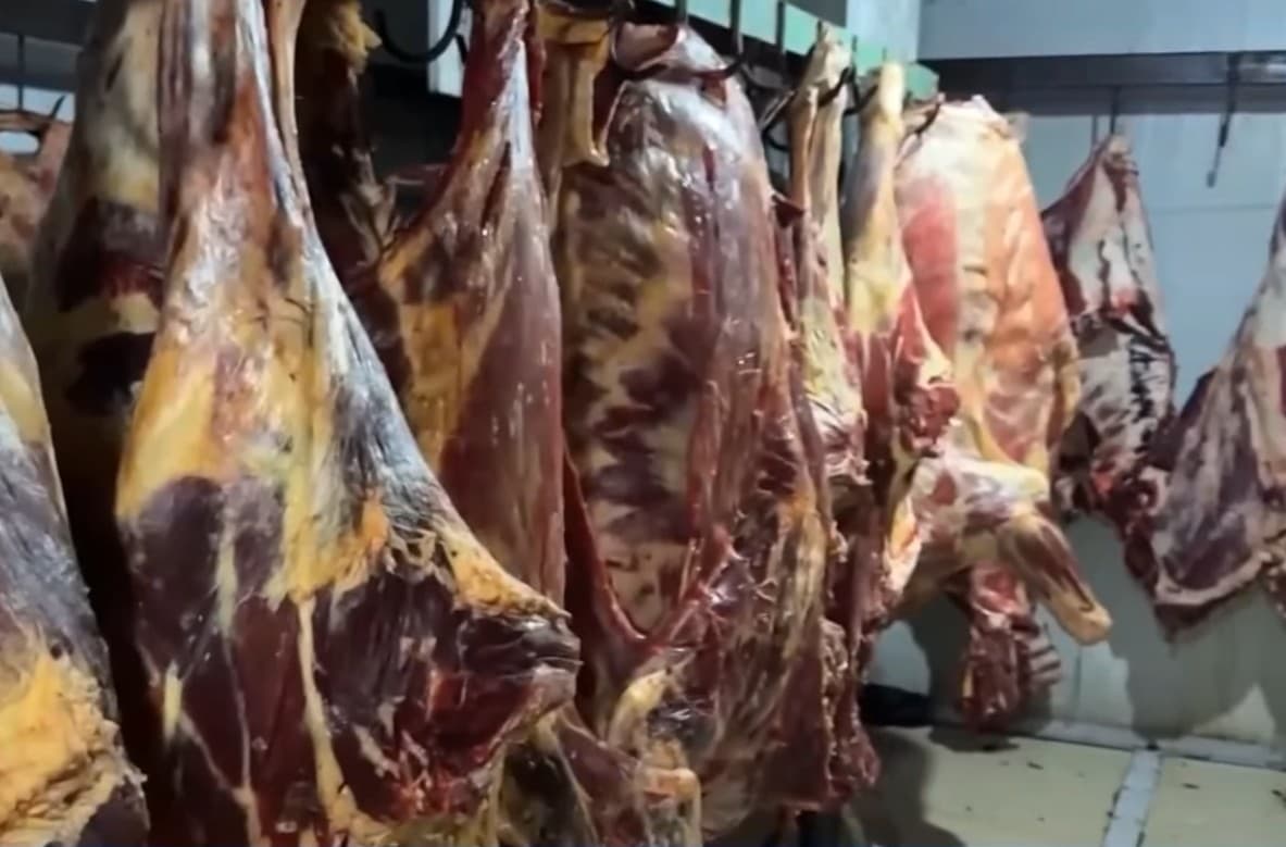 Qashqadaryodan Toshkentga olib kelinayotgan 600 kg yaroqsiz go‘sht aniqlandi