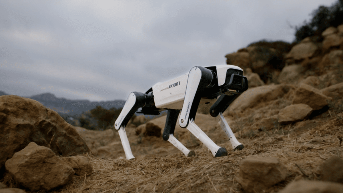 Ayfon narxiga “aqlli it”: Xitoyda Rover X1 robot iti taqdim etildi