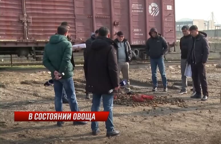 Businesses face heavy losses as tons of potatoes perish at Kazakhstan-Uzbekistan border