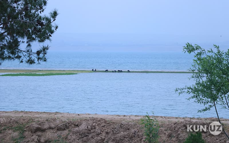 Sirdaryo viloyatida «Sultonhovuz» suv ombori quriladi
