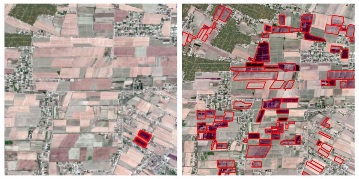 Uzbekcosmos detects over 200 field fires across Uzbekistan via satellite monitoring