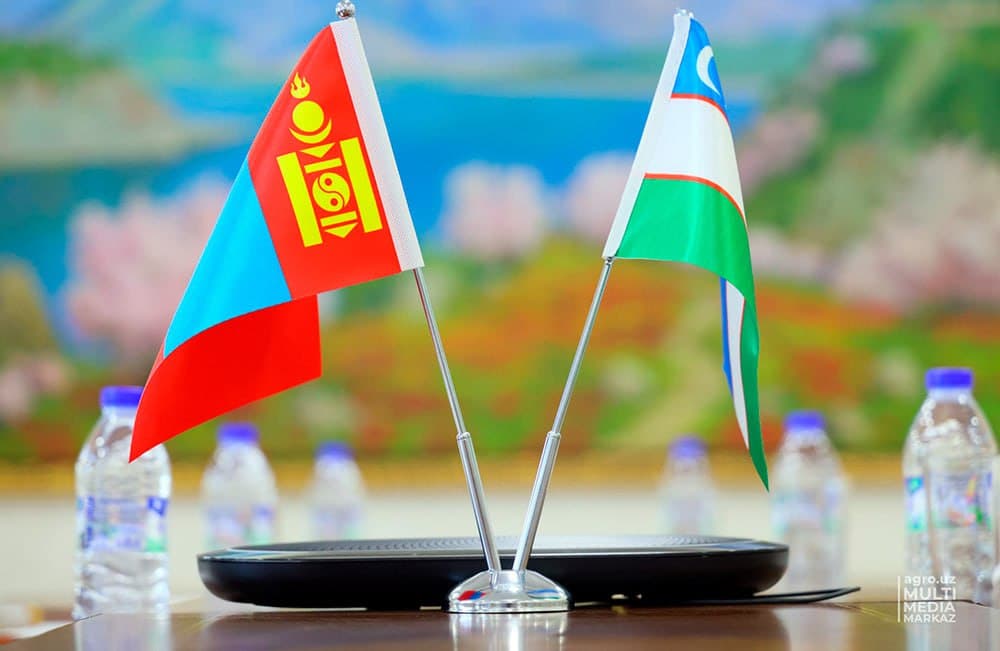 Uzbekistan and Mongolia approve transport agreements