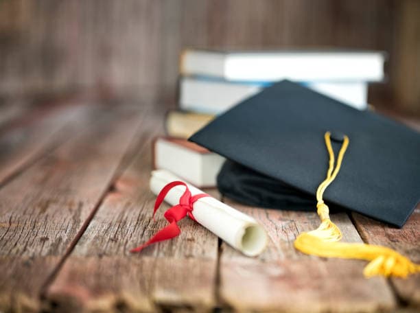Uzbekistan to launch new scholarship program for foreign students