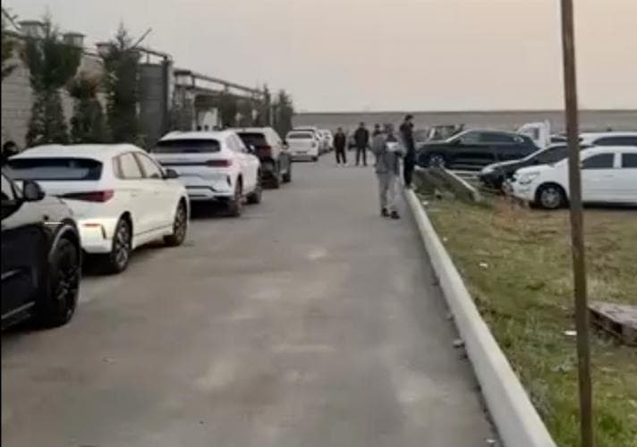 «Это как получить контракт на Cobalt…» – очередь в лабораторию в Пскенте стала проблемой