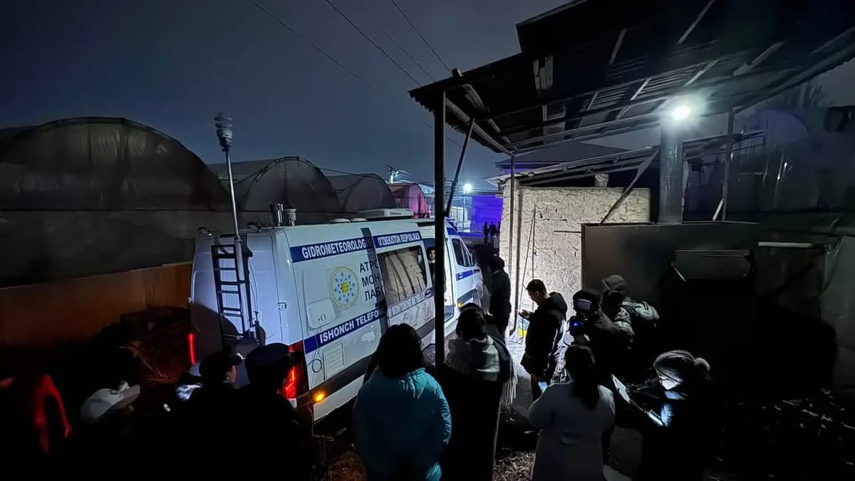 Деятельность 103 теплиц в Ташобласти и Ташкенте приостановили