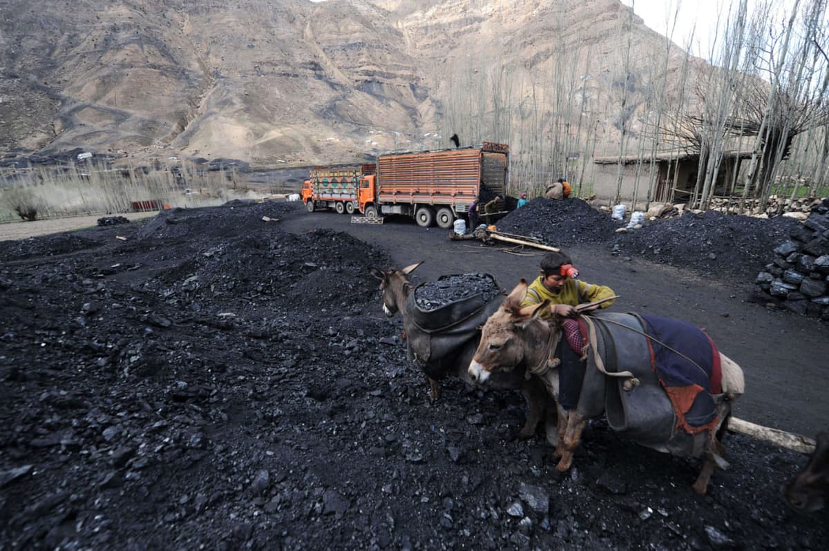 O‘zbekiston Afg‘onistondan ko‘mir import qilishni boshlaydi