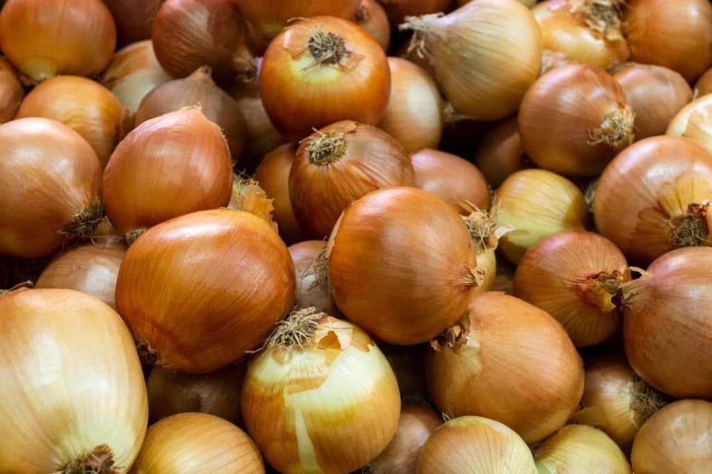 Onion prices surge tenfold in Uzbekistan as farmlands shrink and supply declines